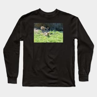 Baby fox Long Sleeve T-Shirt